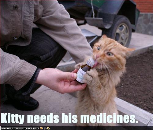Curiosidades Y Bromas. Funny-pictures-cat-needs-his-medicine2